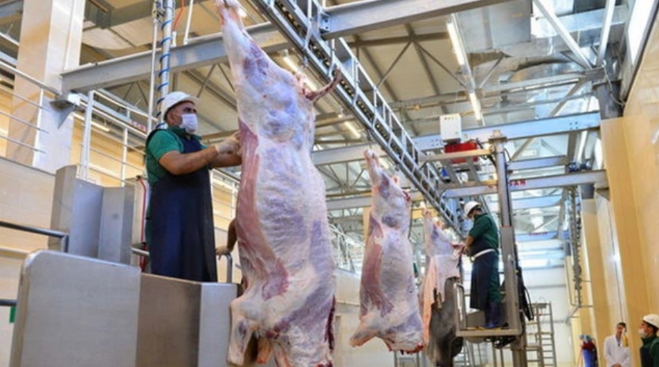 qurban-bayrami-gunlerinde-heyvanlarin-satisi-ve-kesimi-xidmetleri-gosterilecek-unvanlar